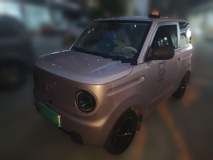 2023 Panda mini 200km Endurance Bear