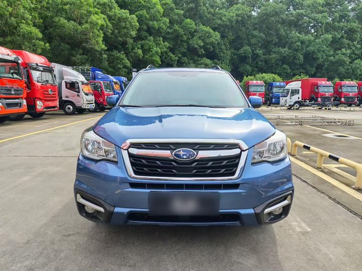 Forester 2016 2.0i Luxury photo 2