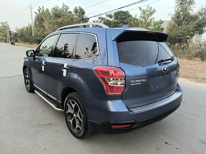 Forester 2015 2.0i Anniversary Edition photo 4