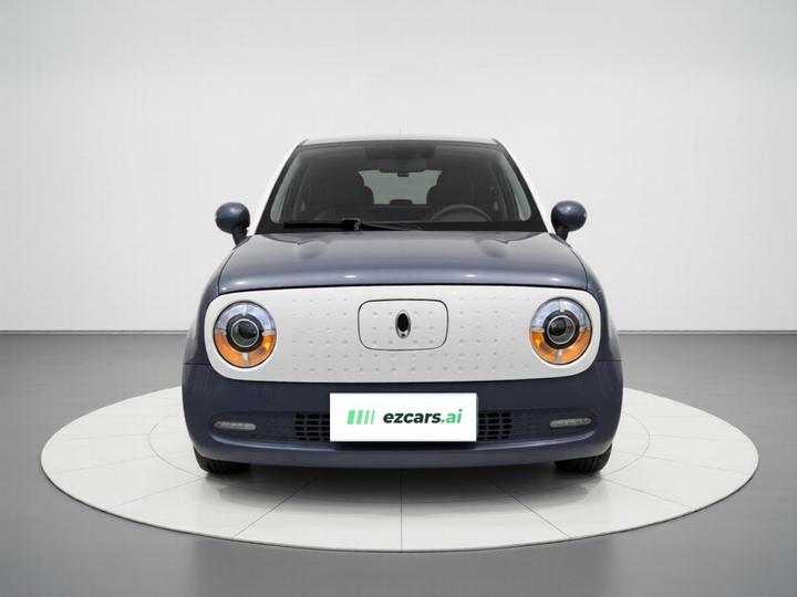 2021 351km Luxury photo 2