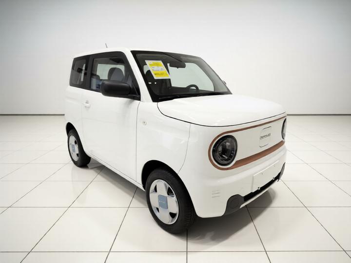 2024 Panda mini 200km Endurance Bear photo 3
