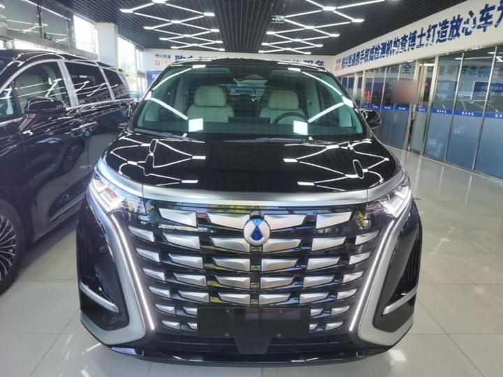 D9 2024 DM-i 980 AWD Noble photo 2