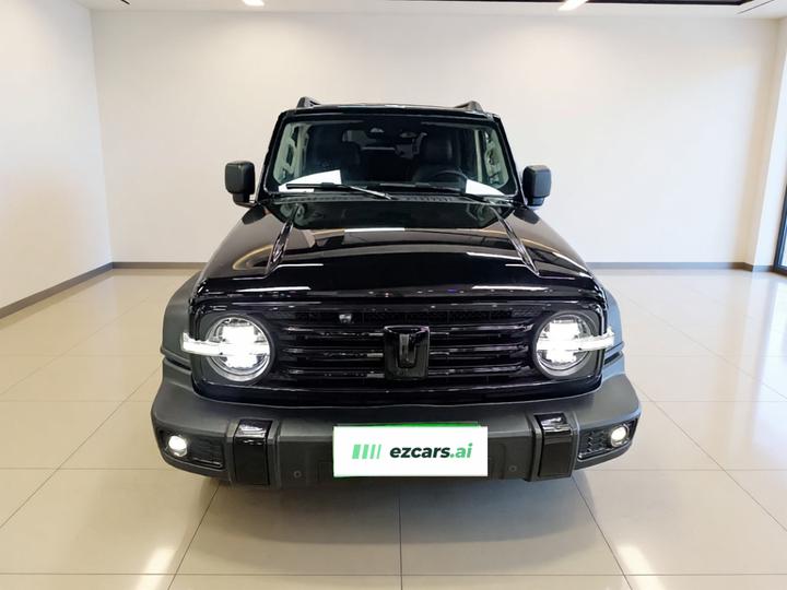 300 2021 Off-road 2.0T Conqueror photo 2