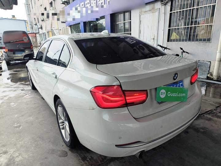 3 Series 2018 318Li photo 4