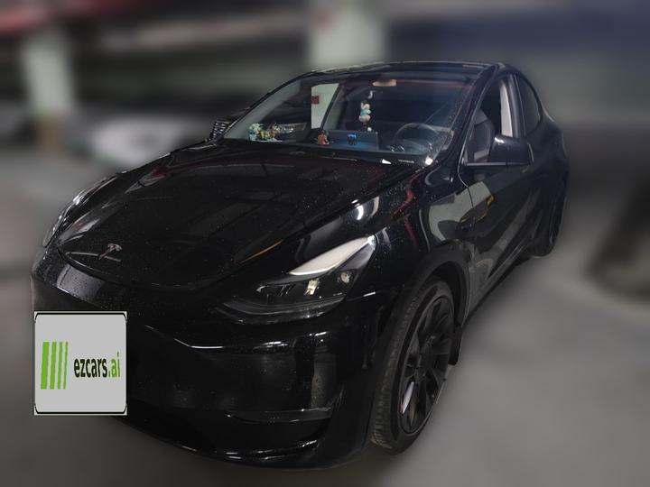 Model Y 2021 Standard Range RWD