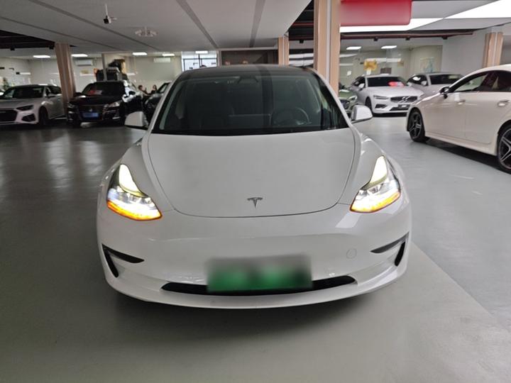 Model 3 2021 Performance AWD 3D6 photo 2