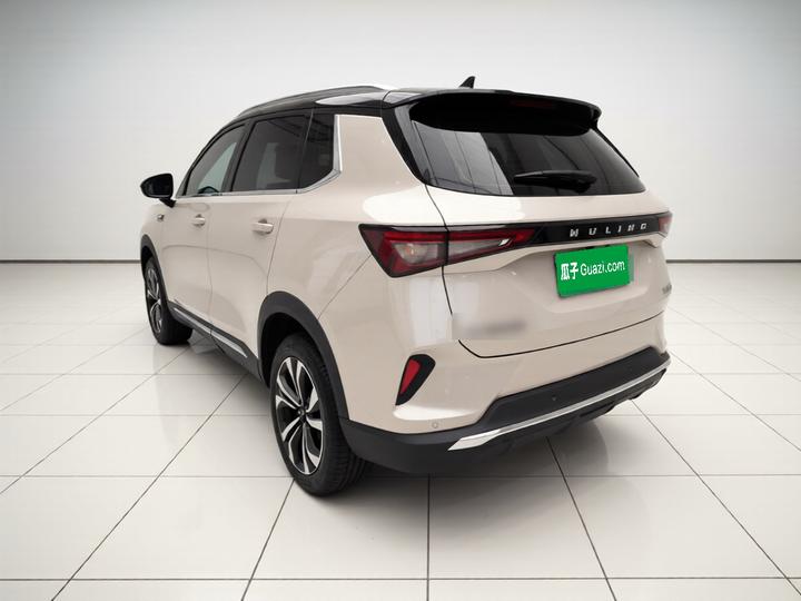 Wuling 2021 1.5T CVT photo 4
