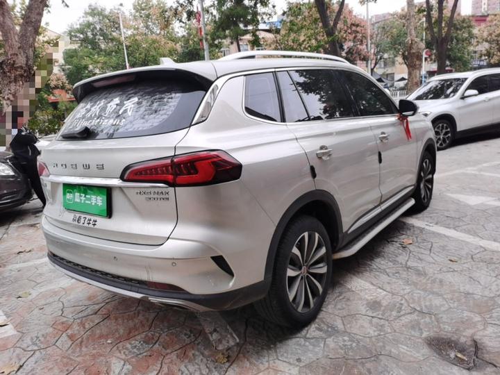 RX5 MAX 2019 300TGI AT 4G Luxury photo 6