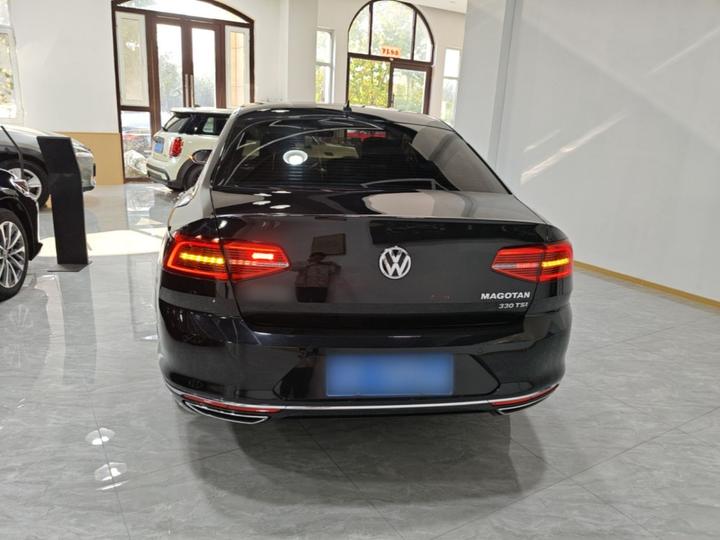 Magotan 2019 330TSI DSG Luxury China VI photo 5