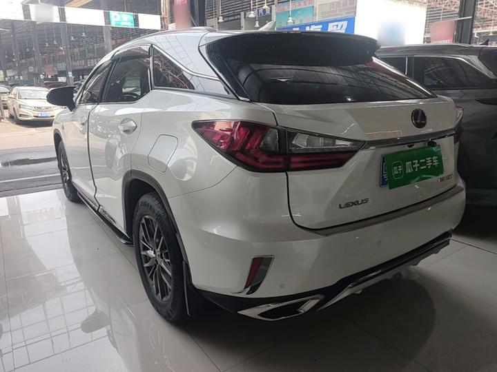 RX 2016 300 RWD Comfort China V photo 4