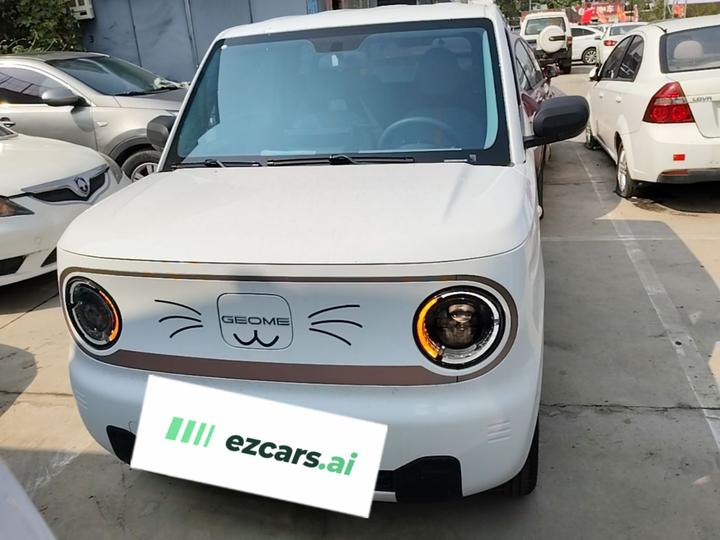 2024 Panda mini 200km Endurance Bear photo 2