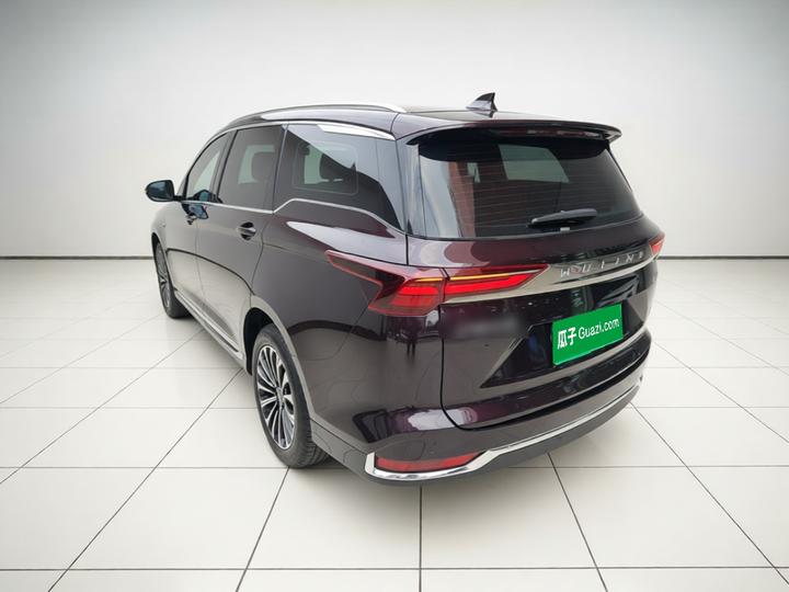 Wuling 2023 2.0L DHT photo 4