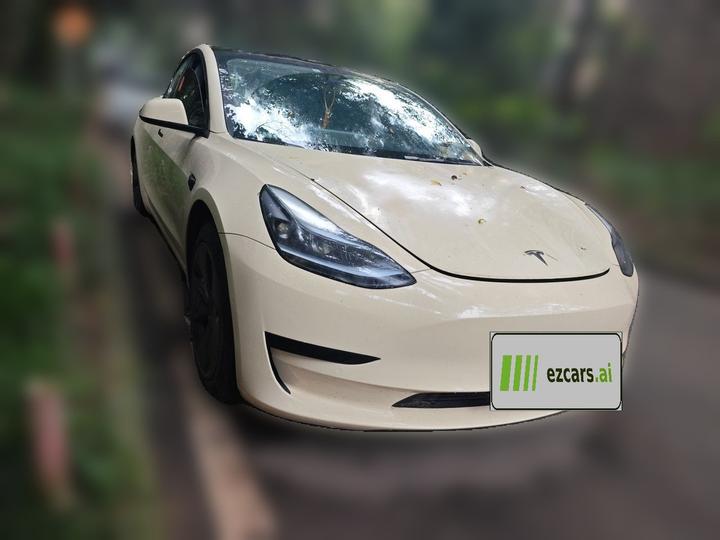 Model 3 2022 RWD photo 3