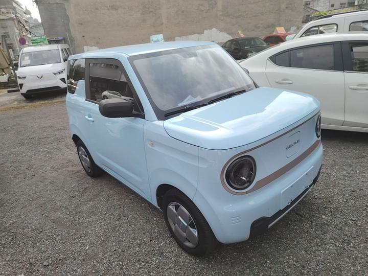 2023 Panda mini 200km Endurance Bear photo 3