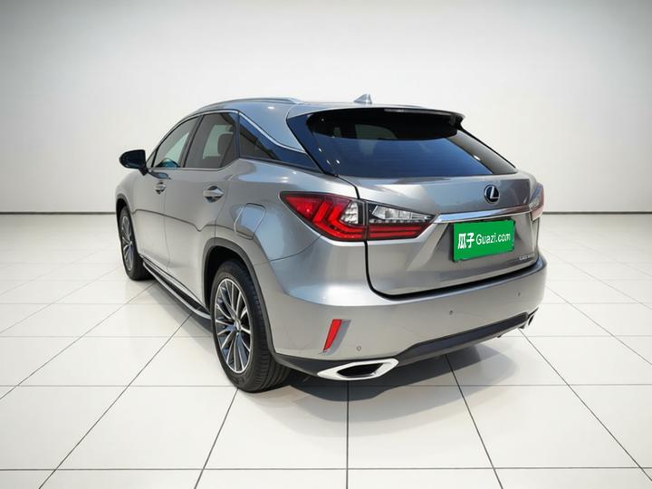 RX 2016 300 RWD Elite China V photo 4