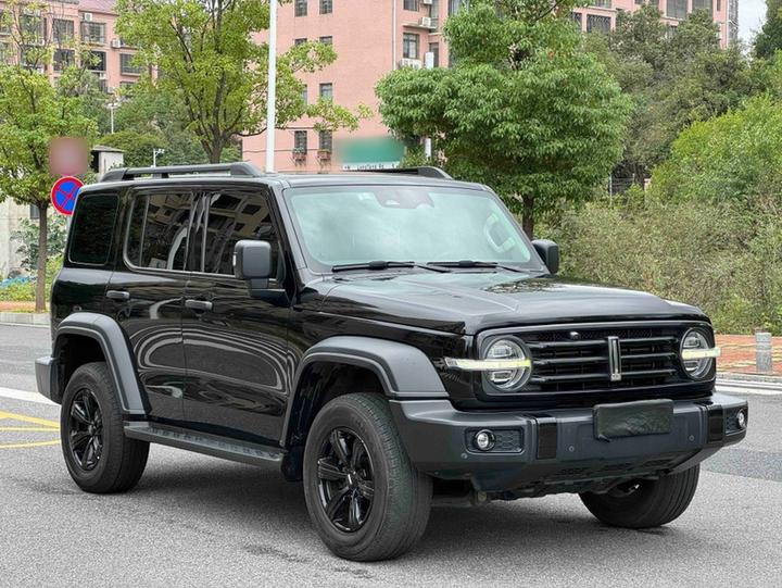 300 2021 Off-road 2.0T Conqueror photo 2