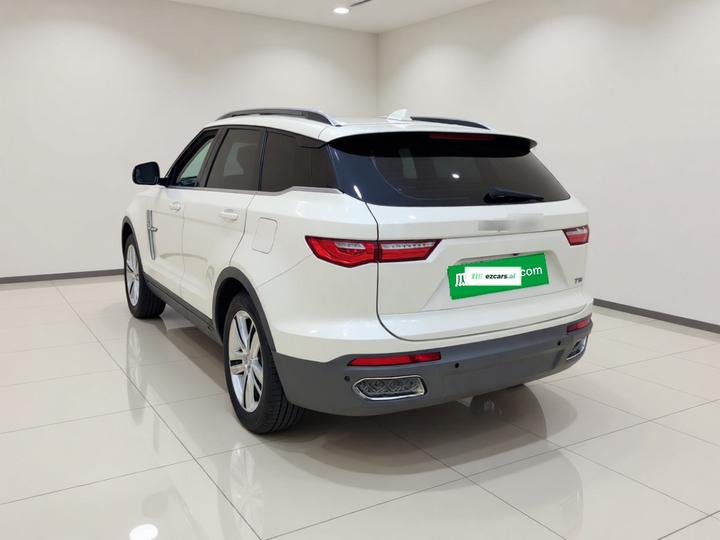 T700 2017 1.8T DCT Exclusive photo 4