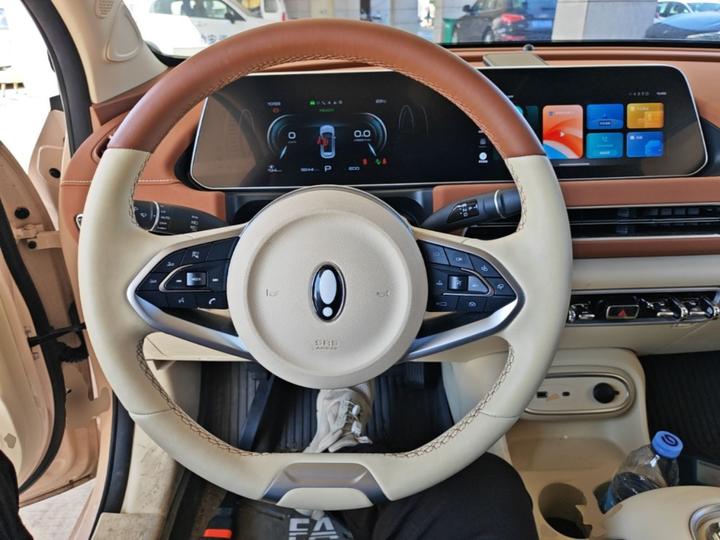 Good Cat 2023 401km Standard Range Luxury LFP photo 5