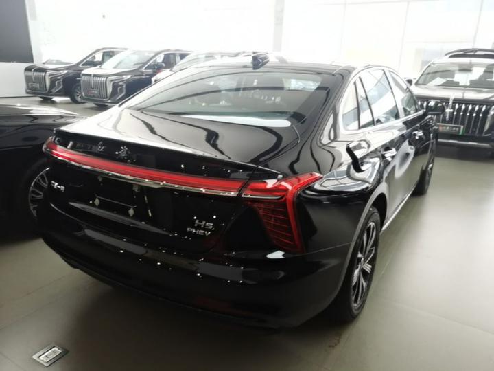 H5 PHEV 2025 130 photo 6