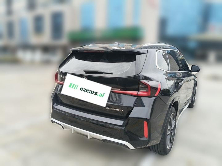 X1 2023 sDrive25Li M Sport Package photo 6
