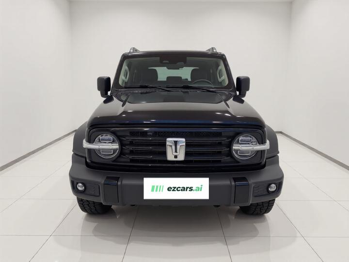300 2024 2.0T Conqueror photo 2