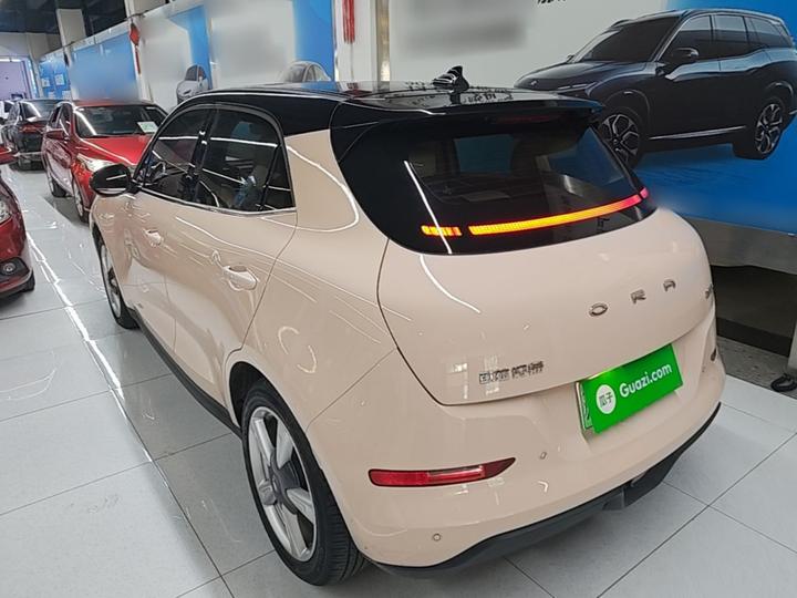 Good Cat 2023 401km Standard Range Premium LFP photo 4