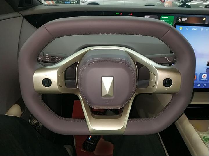 06T 2026 Performance EV photo 6