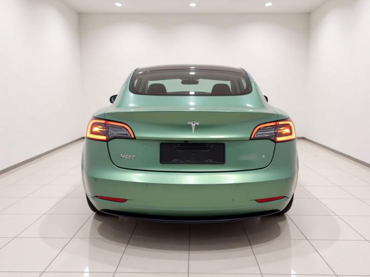 Model 3 2019 Standard Range RWD Upgraded photo 3