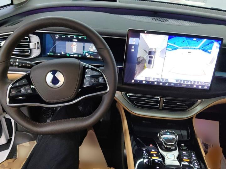 D9 2024 DM-i 980 AWD Noble photo 2