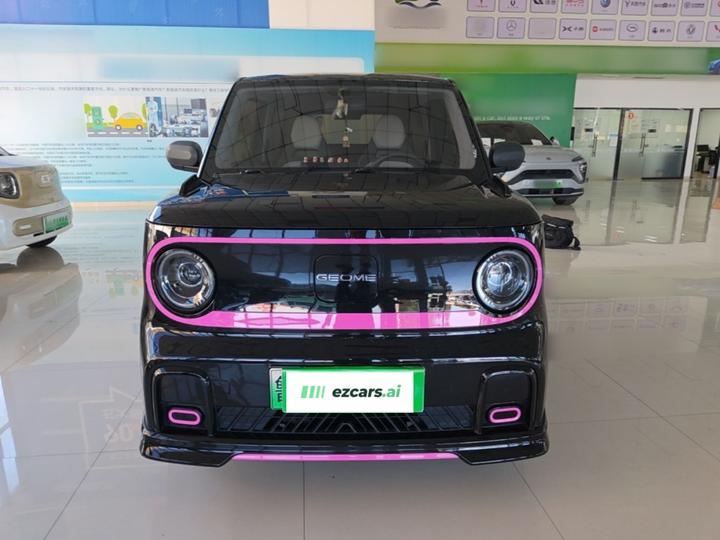2025 210km Panda photo 2