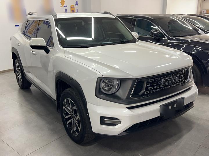 Dargo PLUS 2023 2.0T RWD Plus photo 4