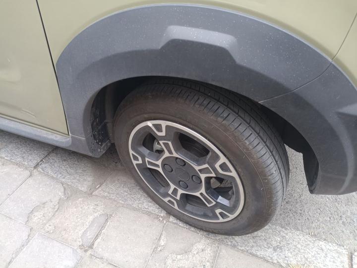 2025 210km Panda photo 8