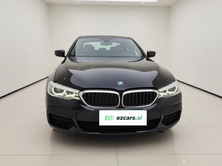 5 Series 2019 530Li Leading M Sport Package photo 2