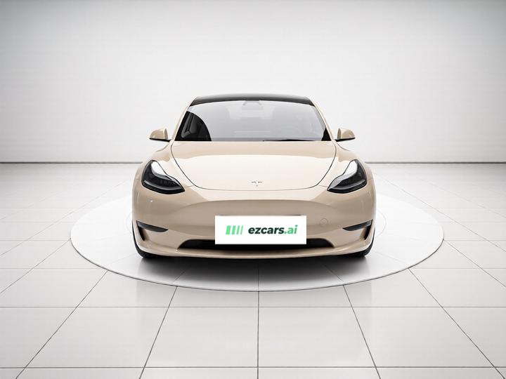 Model Y 2021 Standard Range RWD photo 2