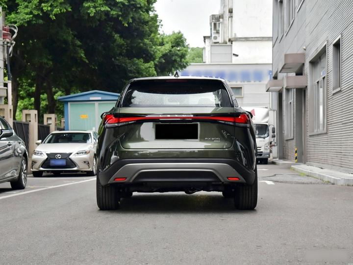 RX 300 AWD photo 5