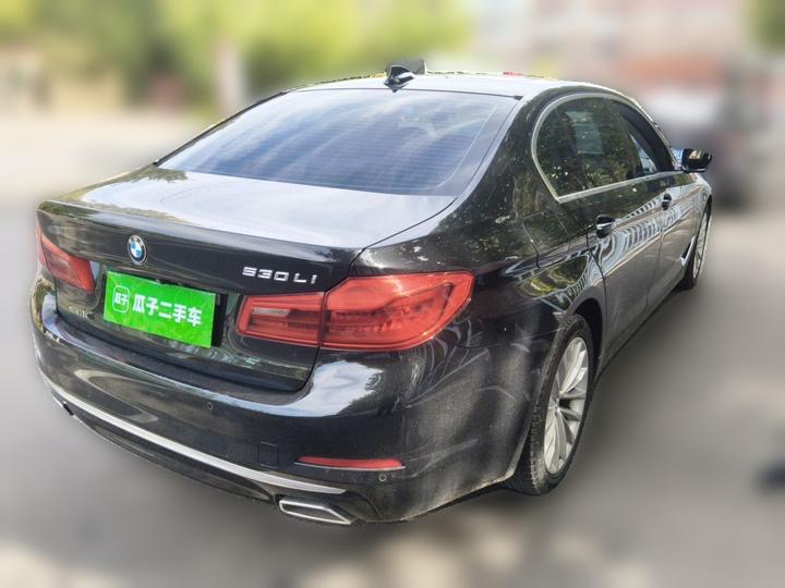 5 Series 2020 530Li Leading Luxury photo 6