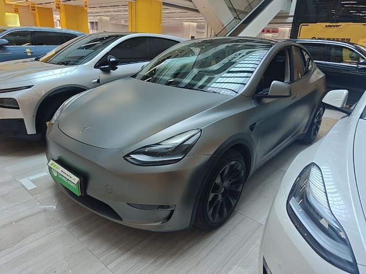 Model Y 2021 Standard Range RWD