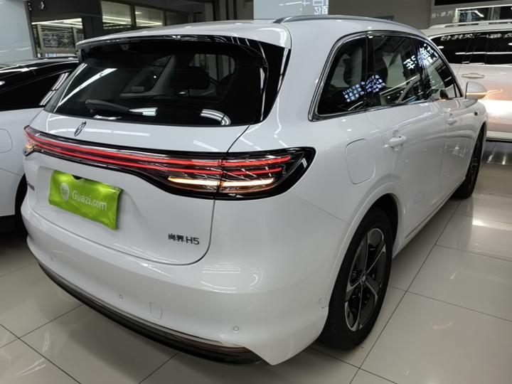 HIMA H5 2025 EREV Max photo 6