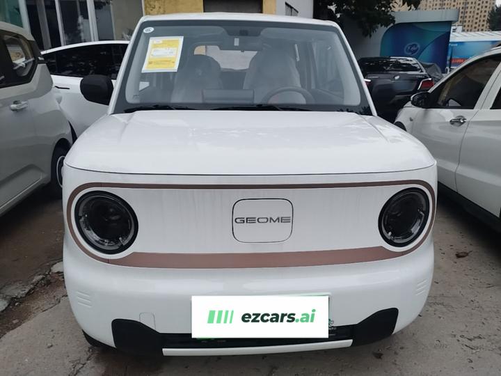 2024 Panda mini 200km Endurance Bear photo 2
