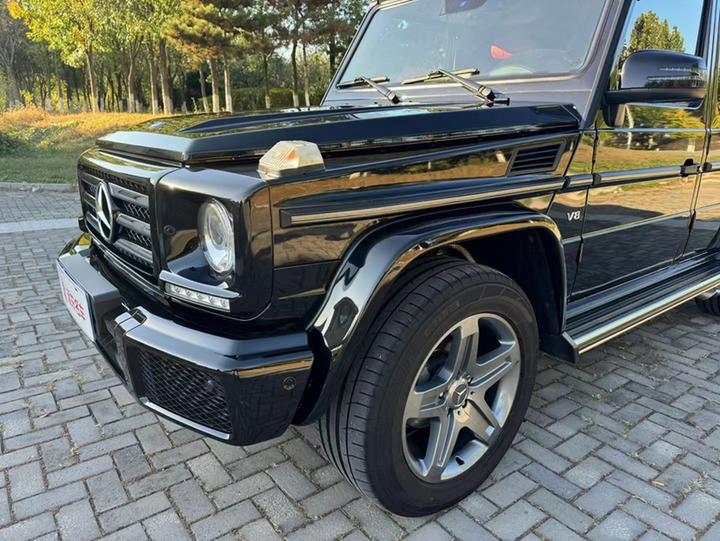 G-Class 2016 G 500 photo 4