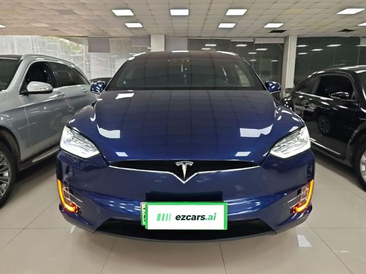 Model X 2019 Long Range photo 2