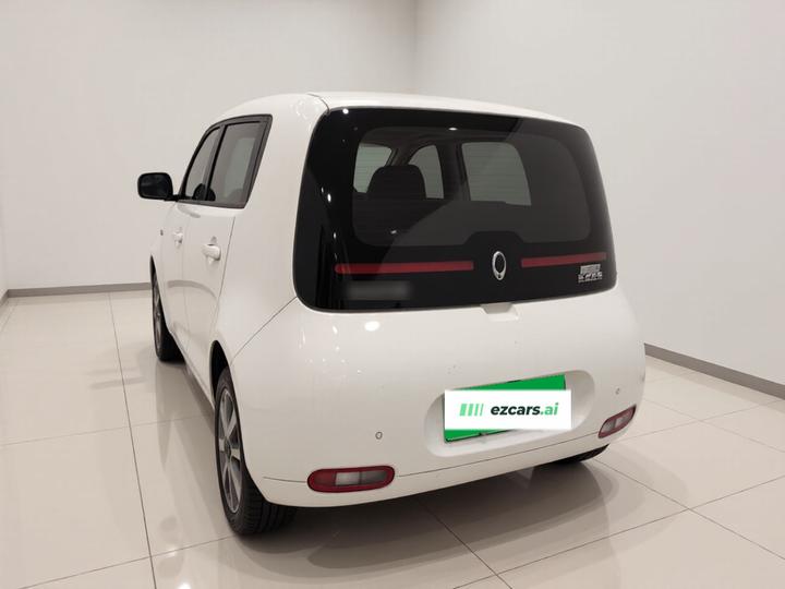2020 305km Luxury photo 4