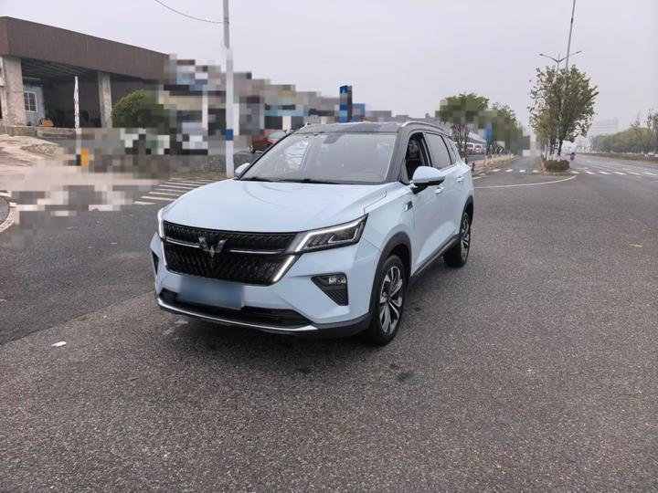Wuling 2022 2.0L DHT