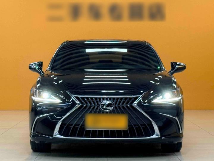 ES 2022 300h Excellence photo 2