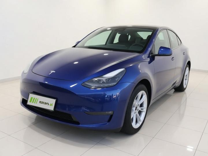 Model Y 2021 Long Range AWD