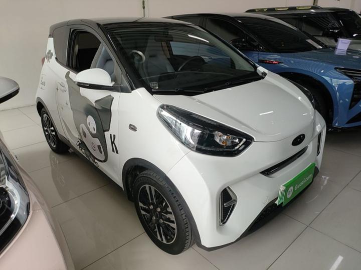 QQ Little Ant 2024 251km photo 3