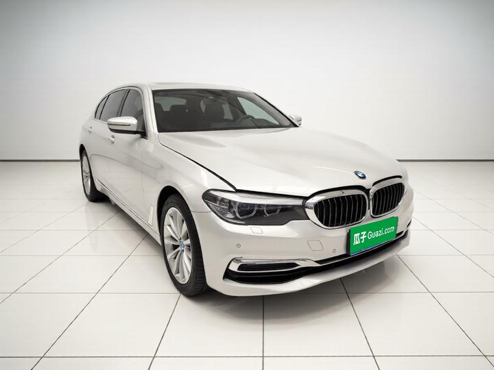 5 Series 2019 530Li xDrive Luxury photo 3