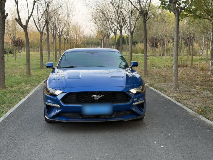 Mustang 2017 2.3T Sport photo 2