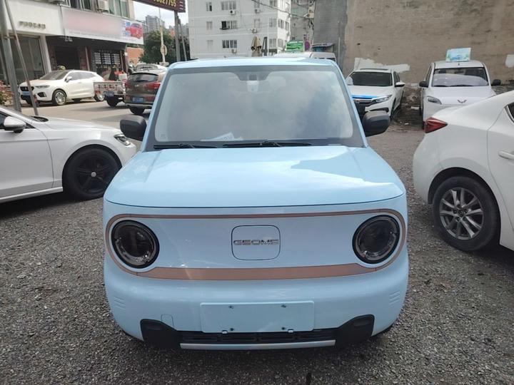 2023 Panda mini 200km Endurance Bear photo 2