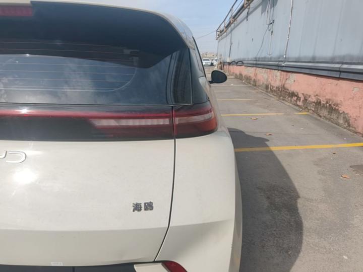 Seagull 2024 Honor 305km photo 7